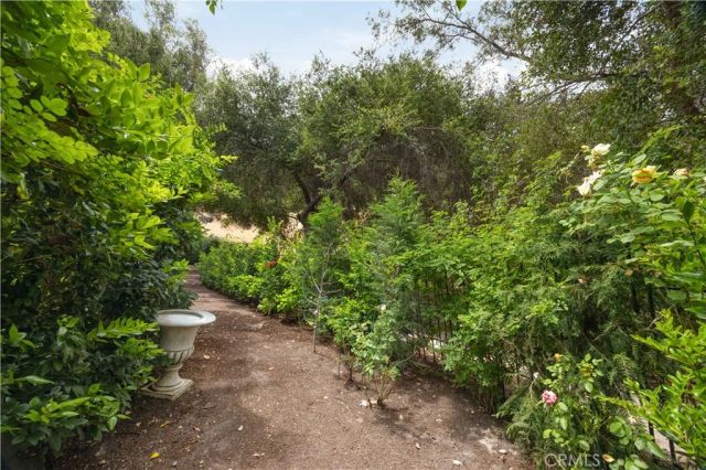 23591 Via Paloma, Coto De Caza, CA 92679