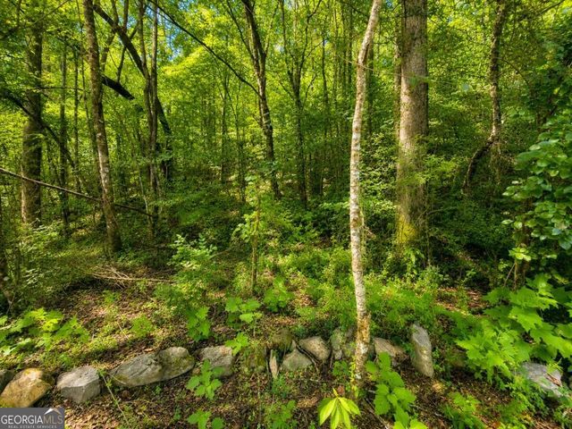 LT 8 & 9 Hidden Valley Trail, Ellijay, GA 30540