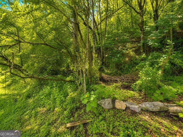 LT 8 & 9 Hidden Valley Trail, Ellijay, GA 30540