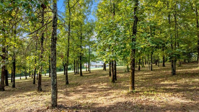 133 Mill Creek Drive, Greenbrier, AR 72058