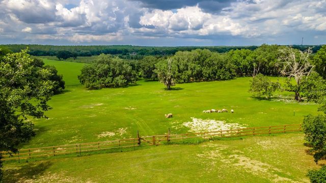 23100 SE HIGHWAY 42, Umatilla, FL 32784