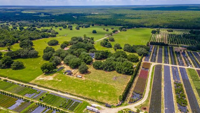23100 SE HIGHWAY 42, Umatilla, FL 32784