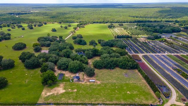 23100 SE HIGHWAY 42, Umatilla, FL 32784