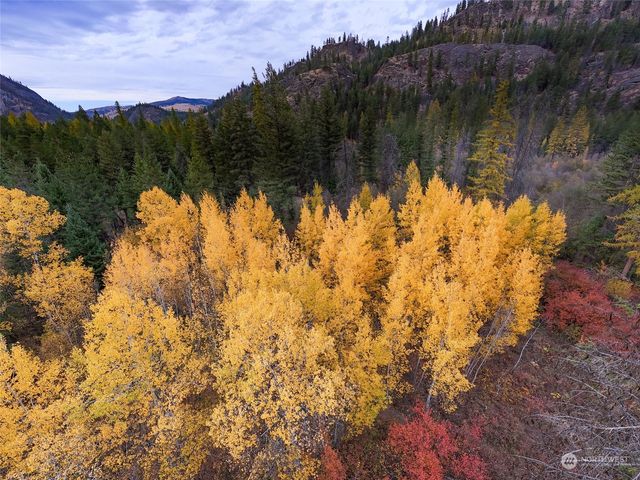 1721 & 1813 Aeneas Valley Road, Tonasket, WA 98855