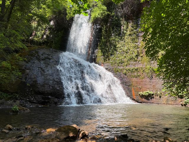 16941 Weeds Point Rd, Camptonville, CA 95922