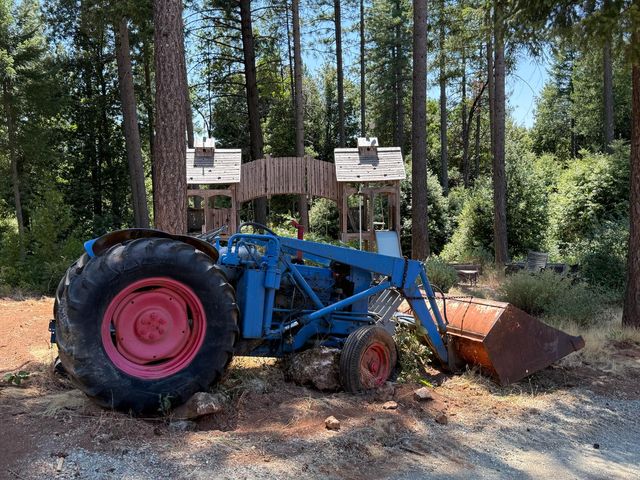 16941 Weeds Point Rd, Camptonville, CA 95922