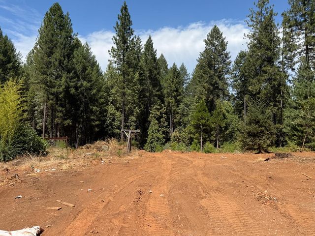 16941 Weeds Point Rd, Camptonville, CA 95922