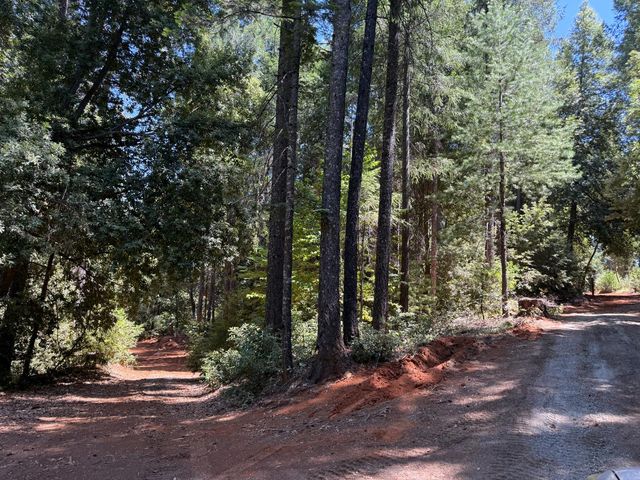 16941 Weeds Point Rd, Camptonville, CA 95922