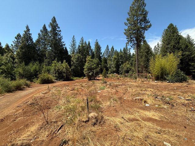 16941 Weeds Point Rd, Camptonville, CA 95922
