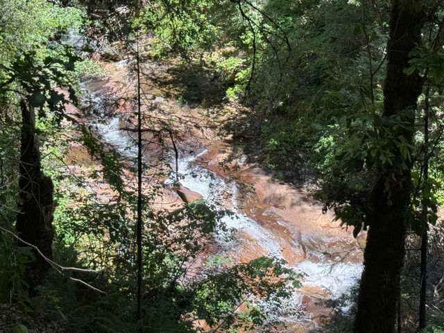 16941 Weeds Point Rd, Camptonville, CA 95922