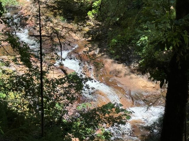 16941 Weeds Point Rd, Camptonville, CA 95922