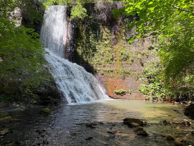 16941 Weeds Point Rd, Camptonville, CA 95922