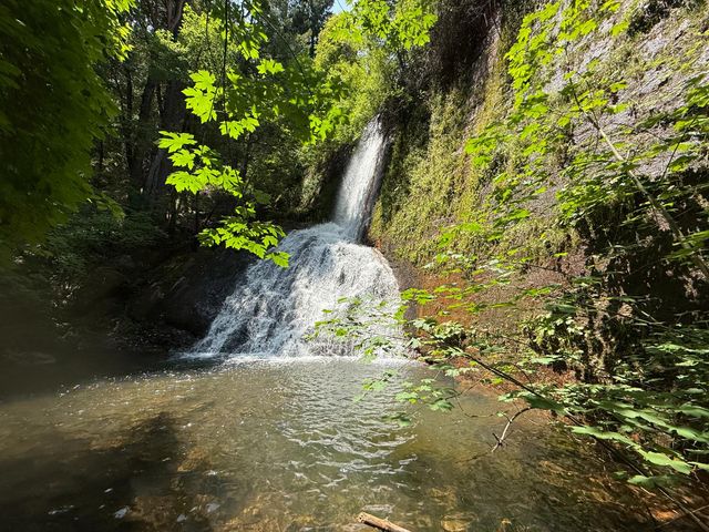 16941 Weeds Point Rd, Camptonville, CA 95922