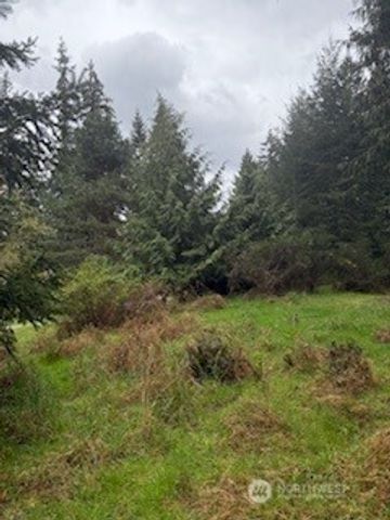 881 Cork Lane, Langley, WA 98260