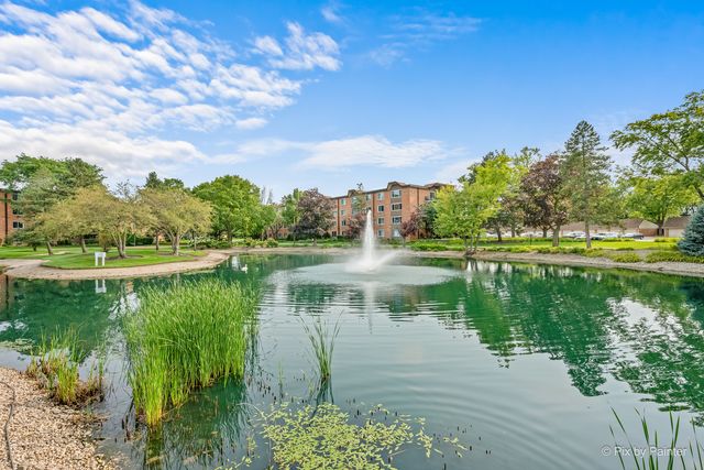 1217 S Old Wilke Road 303, Arlington Heights, IL 60005