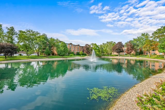 1217 S Old Wilke Road 303, Arlington Heights, IL 60005