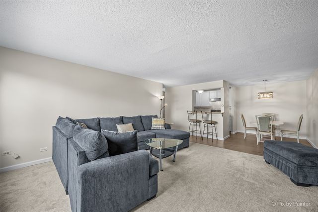 1217 S Old Wilke Road 303, Arlington Heights, IL 60005