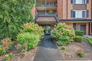1217 S Old Wilke Road 303, Arlington Heights, IL 60005