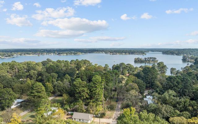 22463 Trailwood Rd, Flint, TX 75762