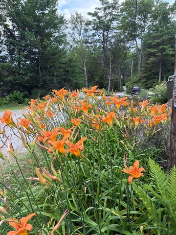 96 Mountainside Drive, Antrim, NH 03440