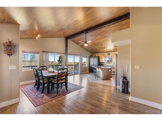19 Worley Rd, Divide, CO 80814