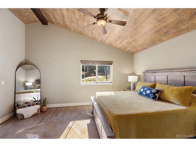 19 Worley Rd, Divide, CO 80814