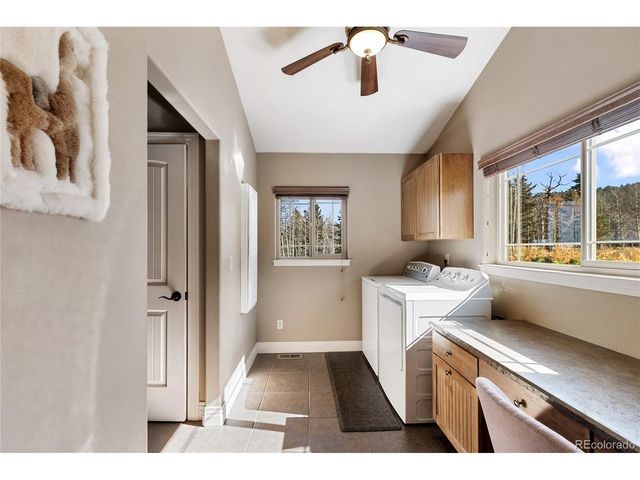19 Worley Rd, Divide, CO 80814