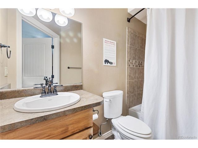 19 Worley Rd, Divide, CO 80814
