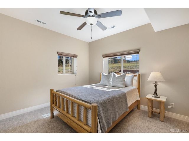 19 Worley Rd, Divide, CO 80814