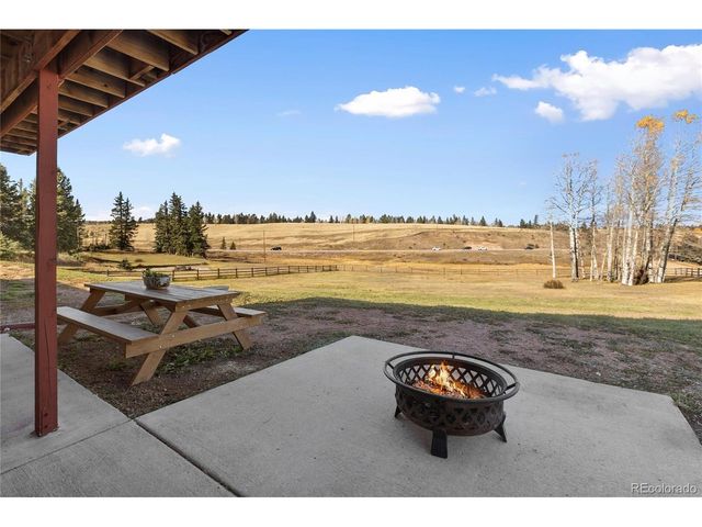 19 Worley Rd, Divide, CO 80814