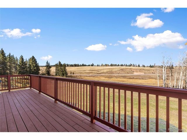 19 Worley Rd, Divide, CO 80814