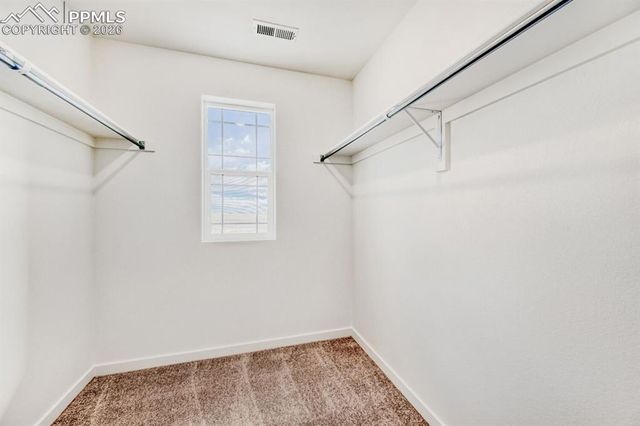 7864 Miners Camp Way, Colorado Springs, CO 80908