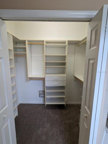 8336 TORRINGTON AVENUE, Tampa, FL 33647