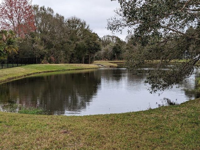 8336 TORRINGTON AVENUE, Tampa, FL 33647