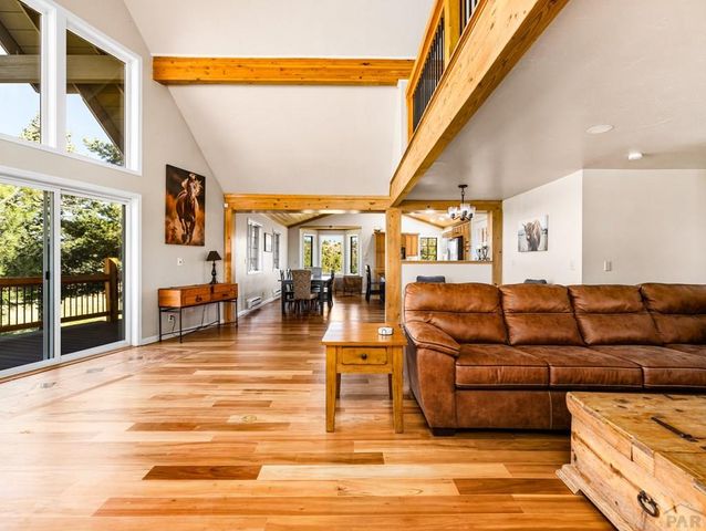 7941 Mount Baldy Dr, Rye, CO 81069