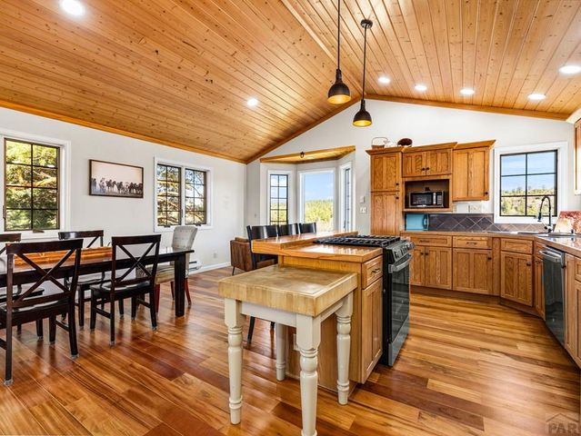 7941 Mount Baldy Dr, Rye, CO 81069