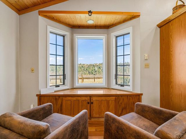 7941 Mount Baldy Dr, Rye, CO 81069