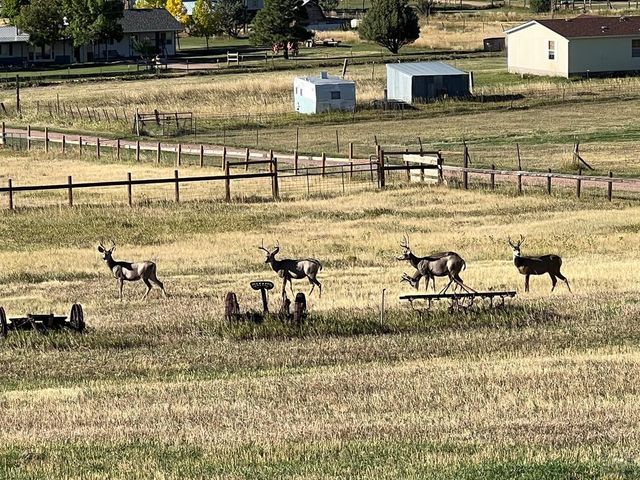 7941 Mount Baldy Dr, Rye, CO 81069