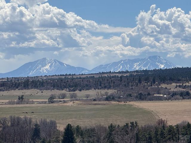 7941 Mount Baldy Dr, Rye, CO 81069