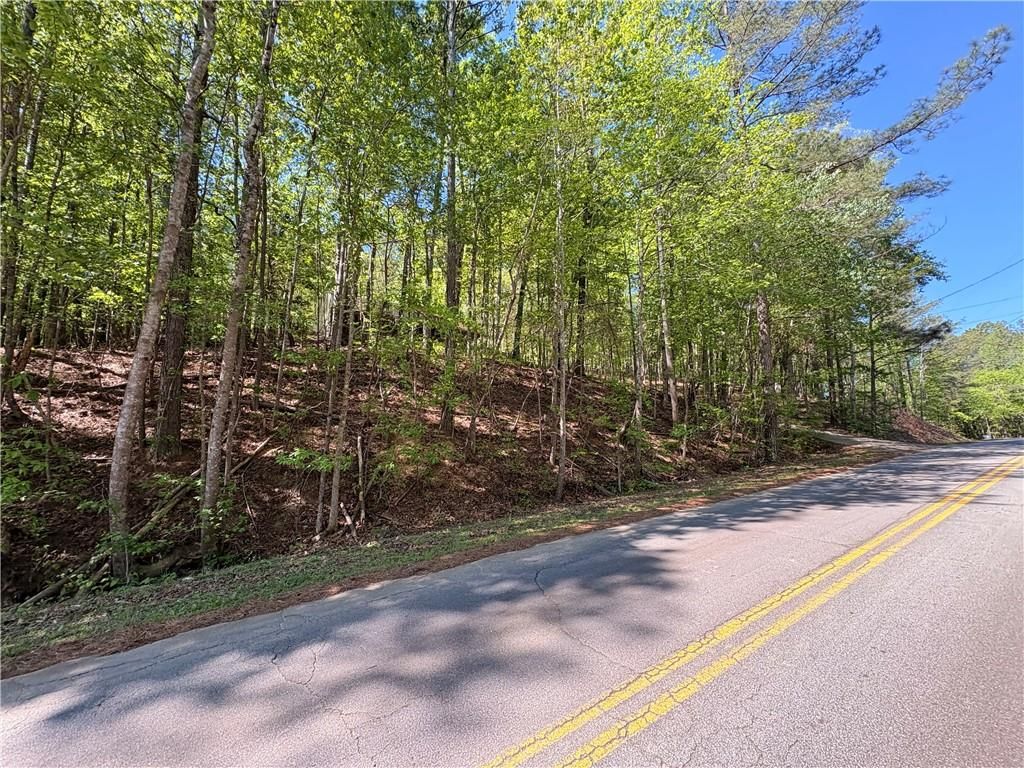 Image 8 of property listing at 9920 Woodruff Road, Palmetto, GA 30268