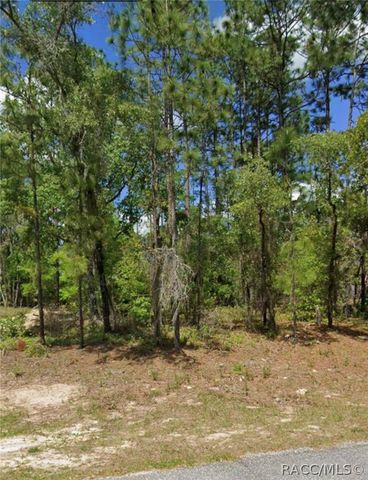 1541 W Elder Lane, Citrus Springs, FL 34434