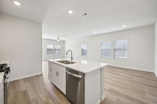 1207 Bridgewalk Drive, Princeton, TX 75071