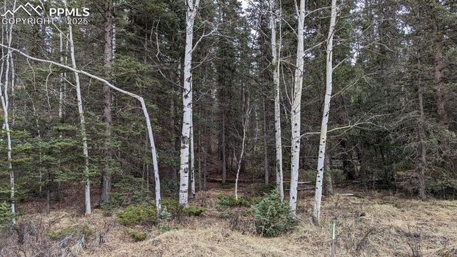 93 Kiowa Creek Trail, Florissant, CO 80816