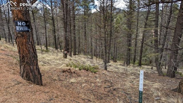 93 Kiowa Creek Trail, Florissant, CO 80816