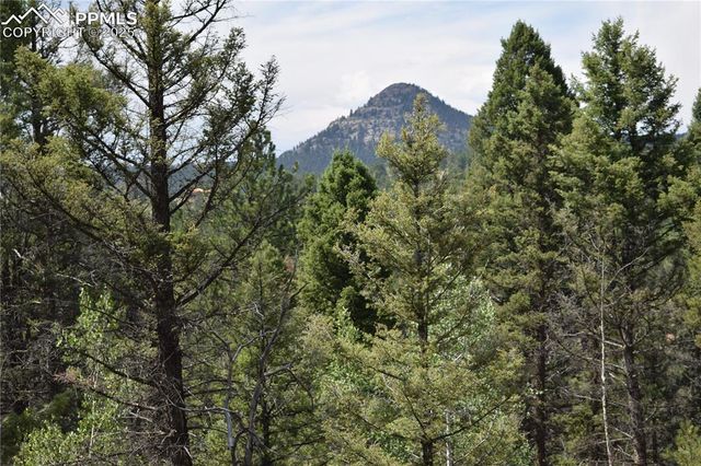 93 Kiowa Creek Trail, Florissant, CO 80816