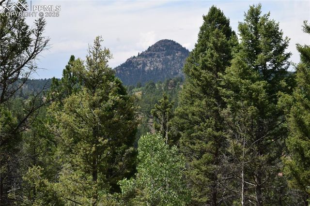 93 Kiowa Creek Trail, Florissant, CO 80816