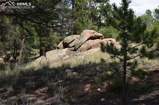 93 Kiowa Creek Trail, Florissant, CO 80816