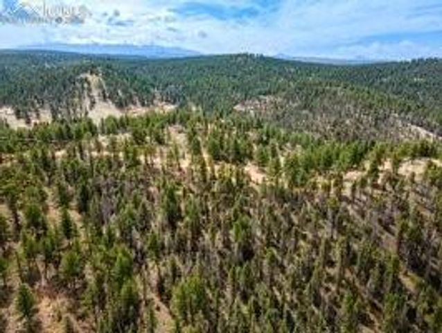 93 Kiowa Creek Trail, Florissant, CO 80816