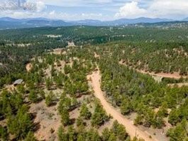 93 Kiowa Creek Trail, Florissant, CO 80816