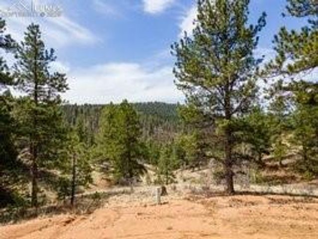 93 Kiowa Creek Trail, Florissant, CO 80816